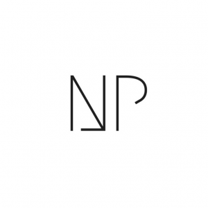 logo NewPerspective
